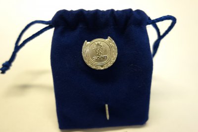 Pin, Silver