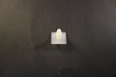 Clips