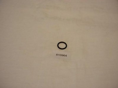 O-ring