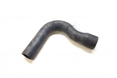 Vattenslang